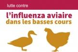 Mesures pour lutter contre l'Influenza aviaire