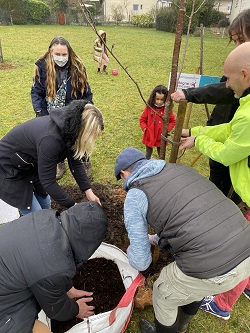 collectif plantons des arbres