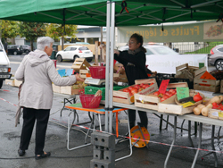 Marché Chamiers 2020