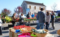 Marché du bourg de Coulounieix