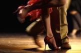 Tango argentin : initiation gratuite et reprise des cours